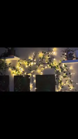 Plant wall