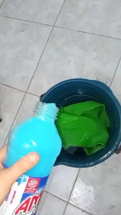 Dona de casa