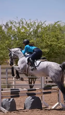 Equestrian slowmo