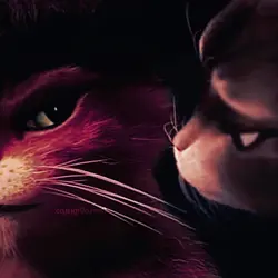 🧡🖤