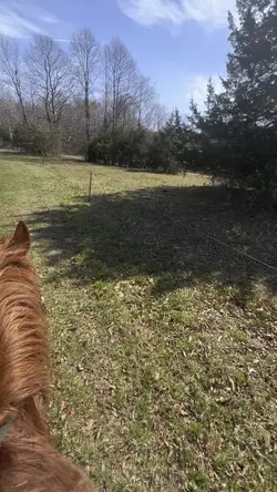 💞💞