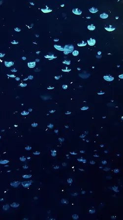 Underwater world