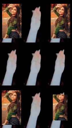 batida sincronizada 