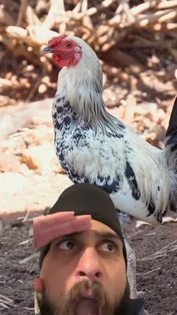Cameras on you?