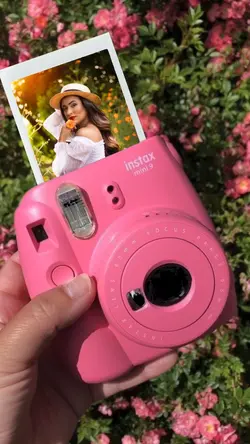 Polaroid