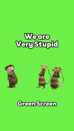 We are Very Stupid 