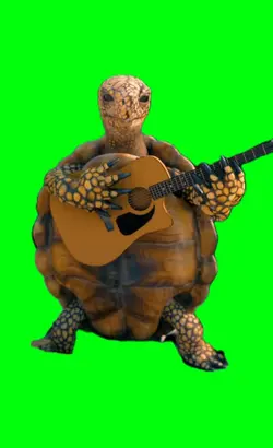 turtle jammin 