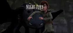 Night fury?
