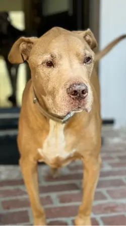 My babie