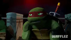Ninja Turtles 