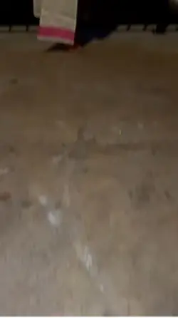 ⭐️ SLO MO FLASH