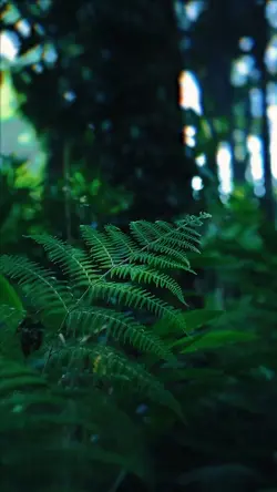 nature