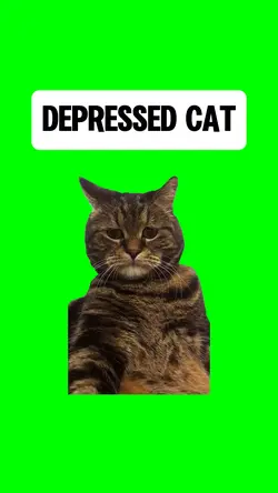 DEPRESSED CAT