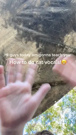 How to do cat vocals