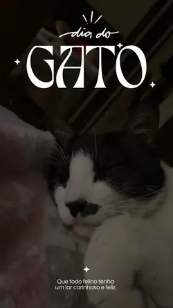 Dia do gato