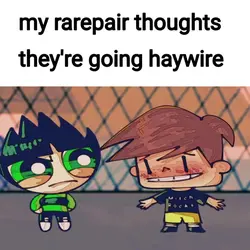 I lub rarepairs