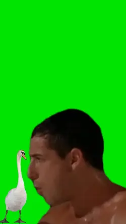 Adam Sandler Swam 