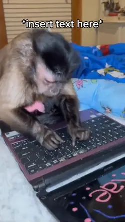 Monkey Work from Hom