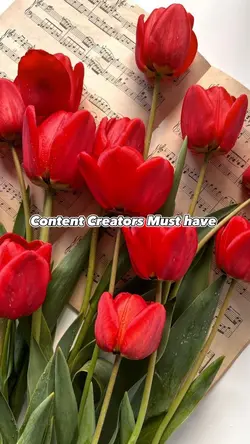 Content Creators 