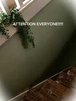 ATTENTION VIRUSES 