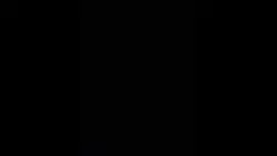 Z71
