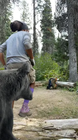 Hey Bear!