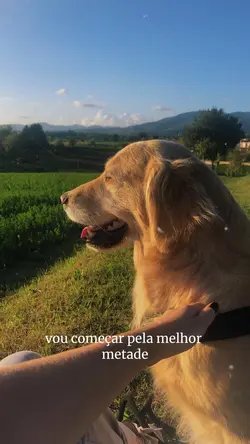 MEU CACHORRO🐶