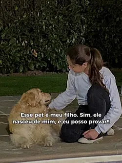 trend ultrassom 