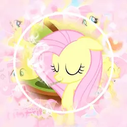 Super Shy🎀💤
