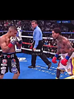 Tank vs pitbull 