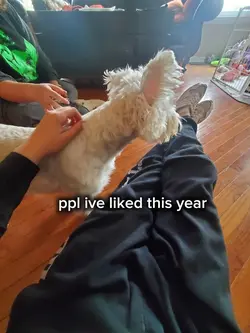 ppl i like this year