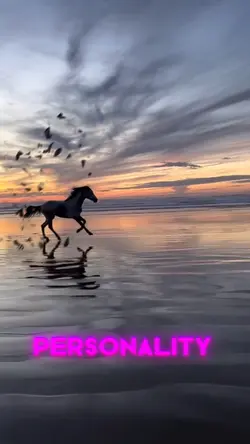 Personality 