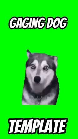 Gaging dog 