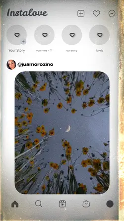 Feed com vídeo ✈️✈️