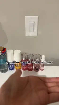 Mini fridge organize
