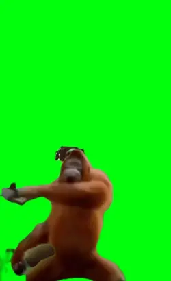 orangutan things