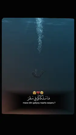 Light for All Quran
