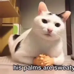 Hope u liked the vid