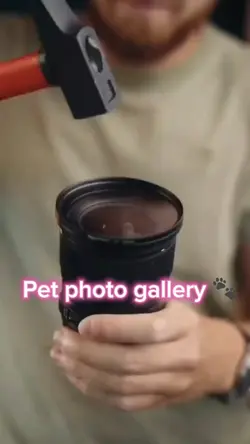 Pet photo gallery 🐾