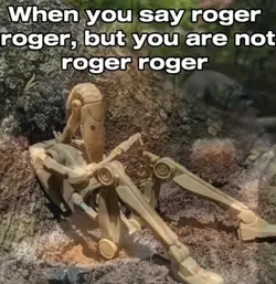 Roger Roger 😢