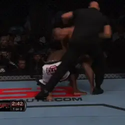 Fight mma