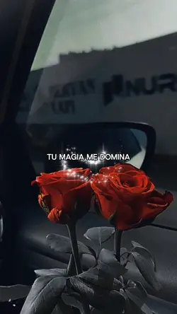 Tu magia 😍✨