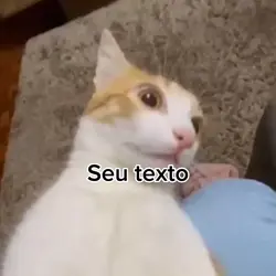 Usemmm