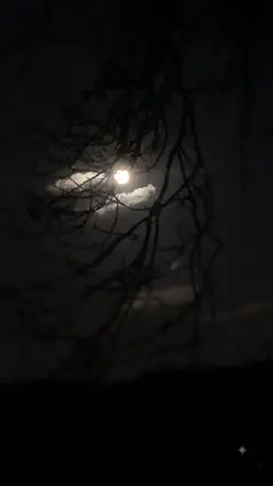 Full moon 🌙