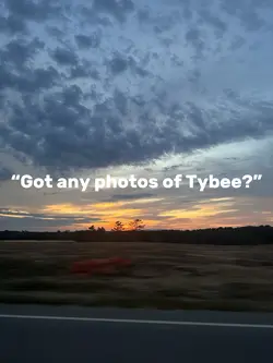 Tybee 🕊️🐾