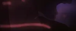 Zom 100