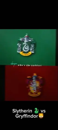 SlytherinvGryffindor