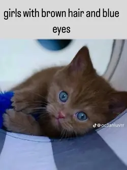 Brown hair blue eyes