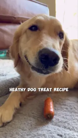 Healthy Dog Treat Recipe