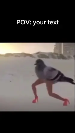 Bird meme